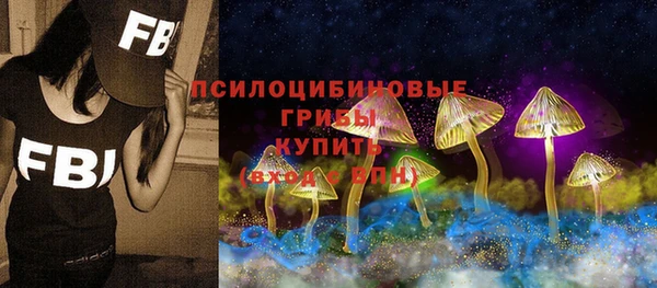 ECSTASY Семикаракорск