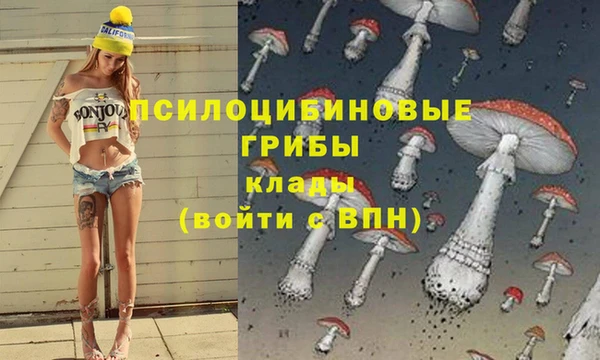 2c-b Алзамай