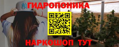 кокс Шелехов
