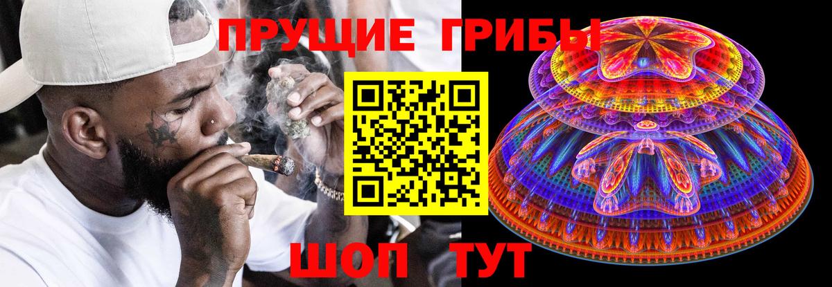 Галлюциногенные грибы Cubensis  Вход с VPN  Галлюциногенные грибы Cubensis  сколько стоит  Асино 