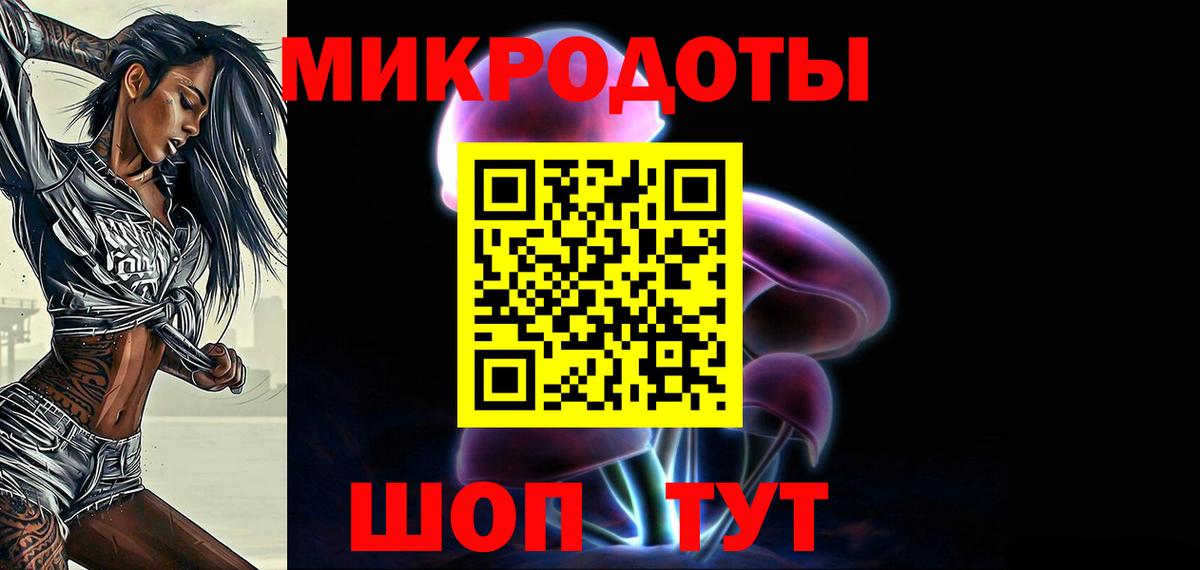 Галлюциногенные грибы Psilocybe Асино